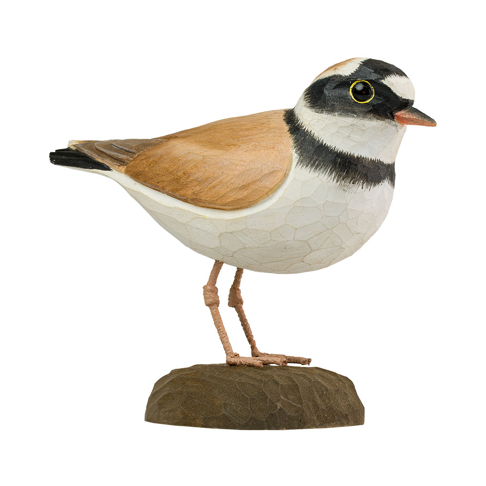 Flußregenpfeifer - Little Ringed Plover Flußregenpfeifer - Little Ringed Plover