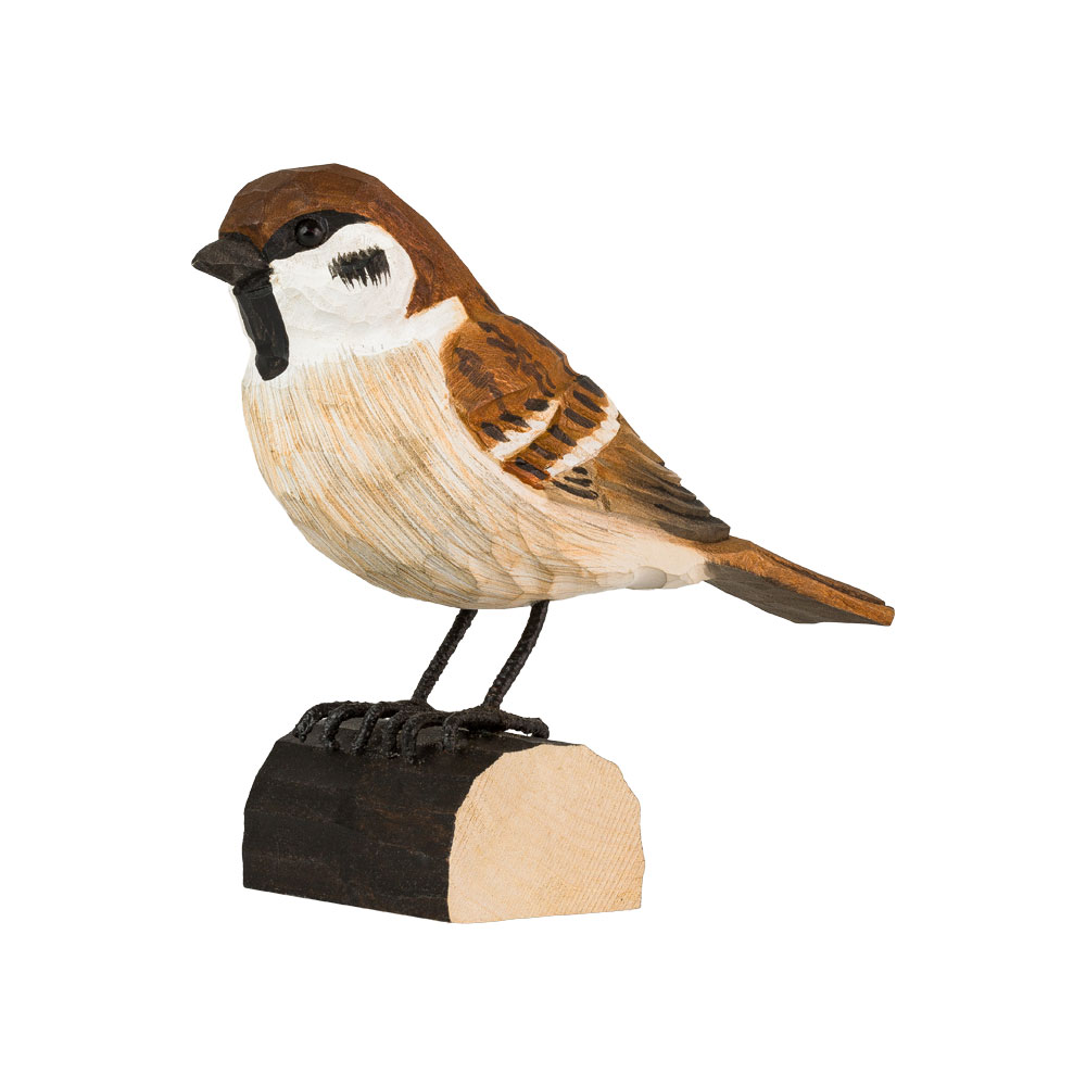 Feldsperling - Tree Sparrow Feldsperling - Tree Sparrow