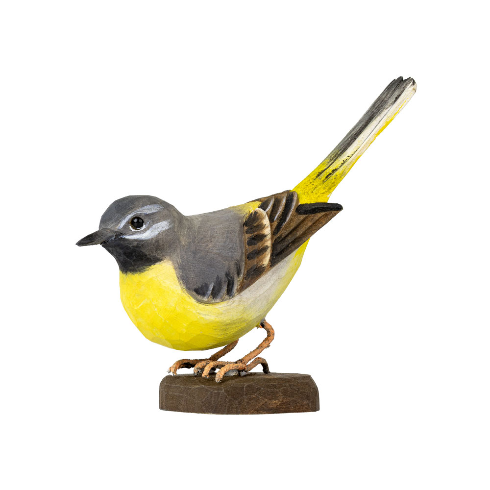 Gebirgsstelze - Grey Wagtail