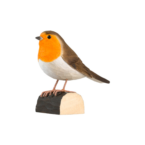 Rotkehlchen - Robin