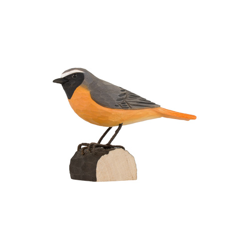 Gartenrotschwanz - Redstart Gartenrotschwanz - Redstart