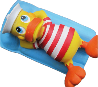 Quitscheente auf schwimmmatratze