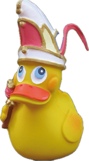 Ente in Kostüm Fastnacht