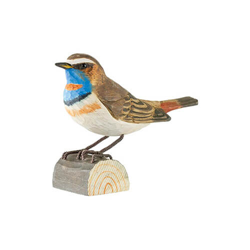 Blaukehlchen - Bluethroat Blaukehlchen - Bluethroat