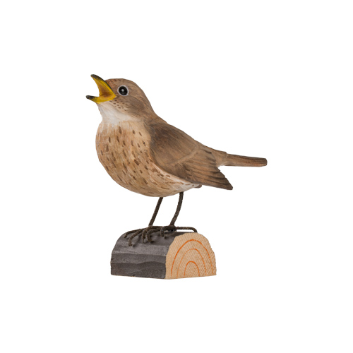 Sprosser - Thrush Nightingale