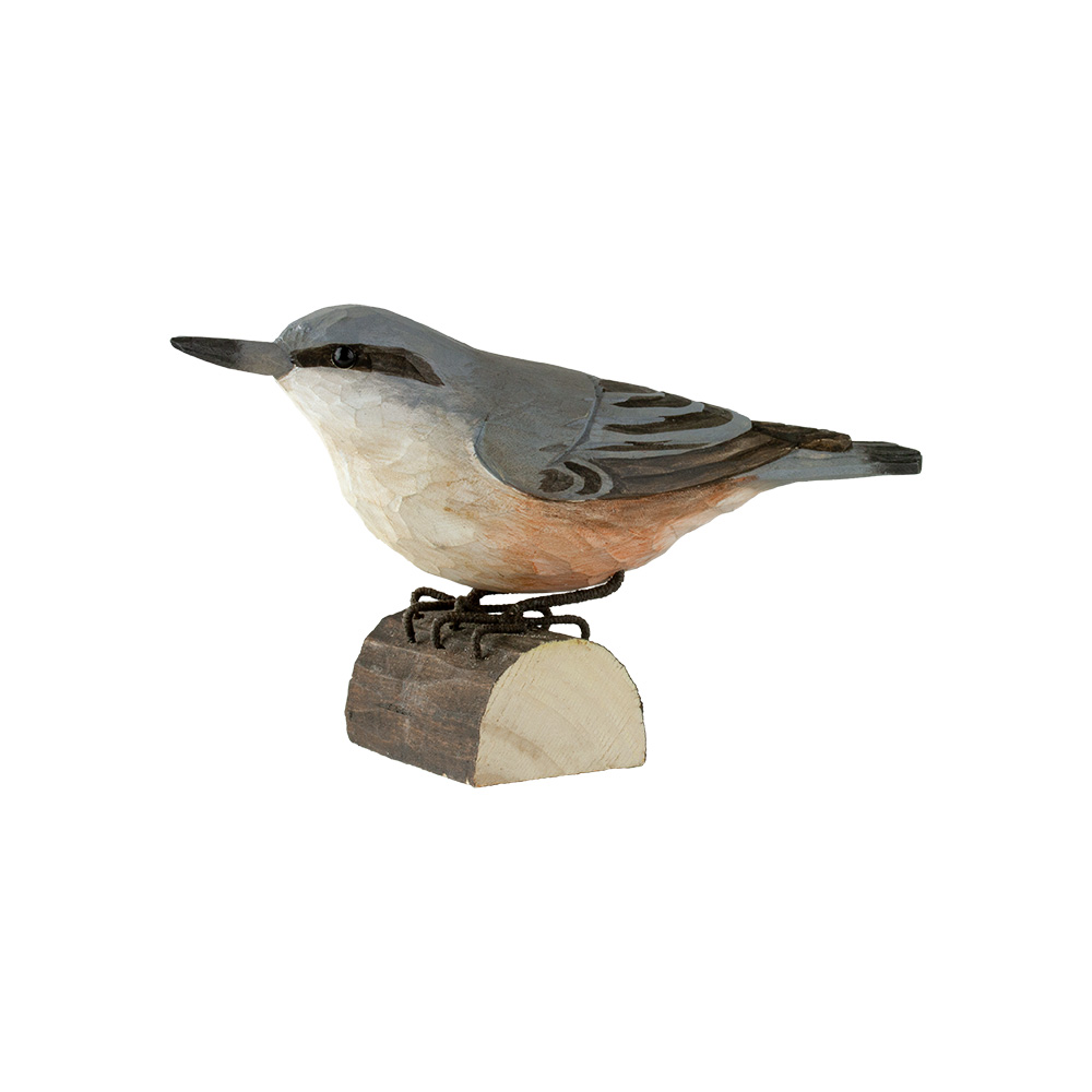 Kleiber - Nuthatch