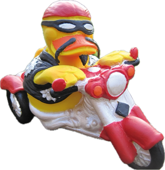 Quitscheente mit Motorrad