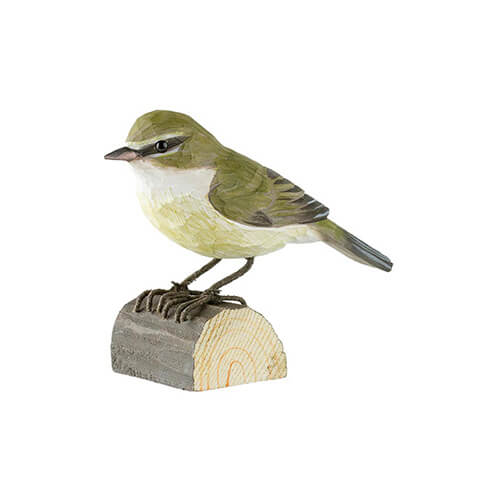 Zilpzalp - Chiffchaff