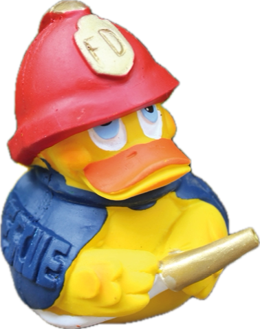 Quitscheente als Feuerwehrmann