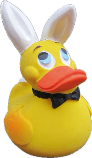 Bunny Quak Ente als Hase