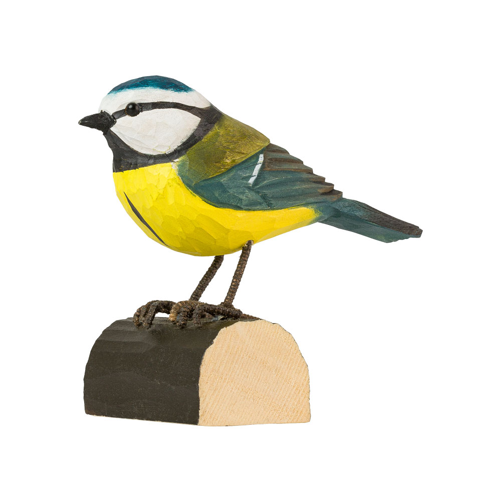 Blaumeise - Blue Tit Blaumeise - Blue Tit