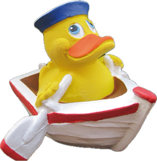 Quitscheente im Boot