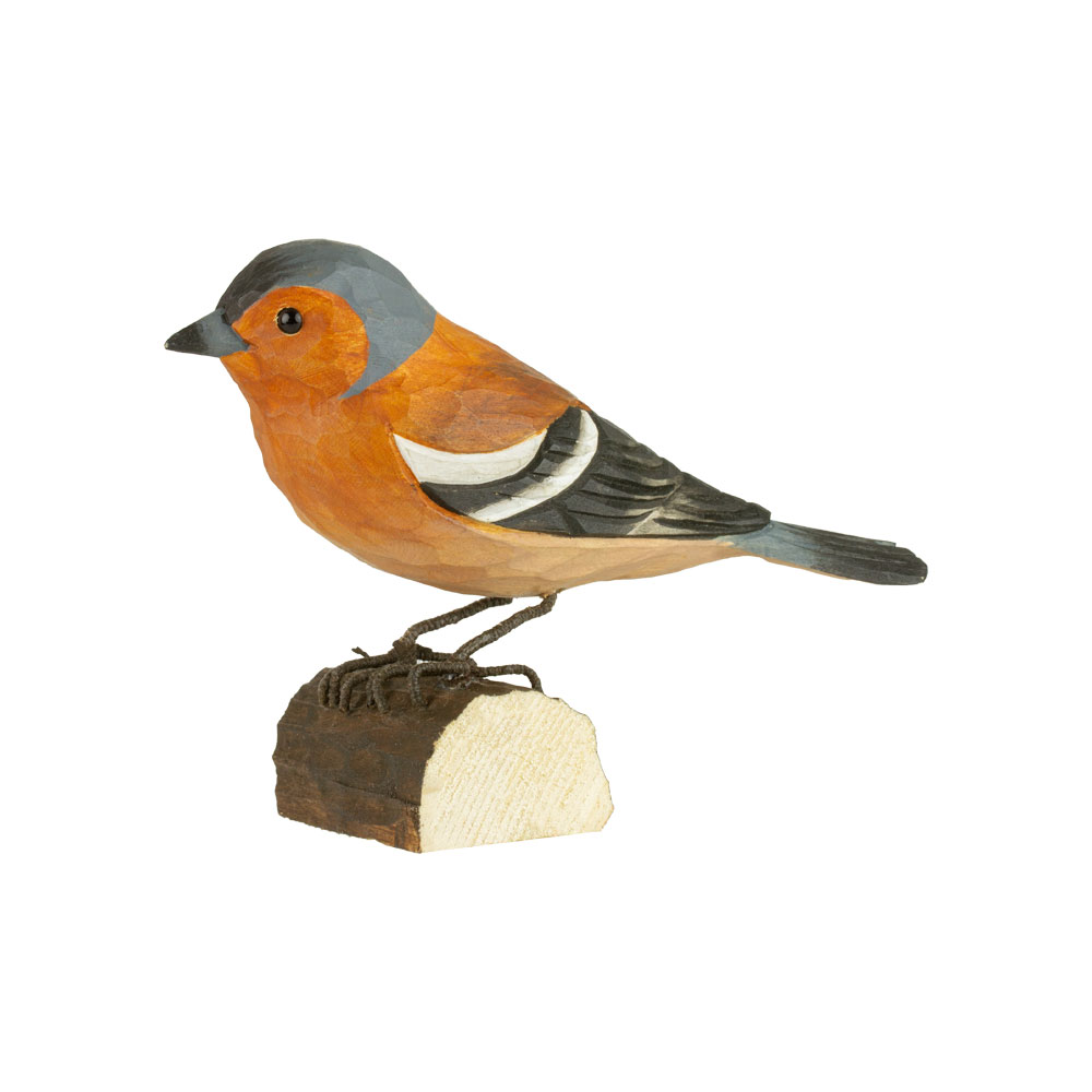 Buchfink - Chaffinch Buchfink - Chaffinch