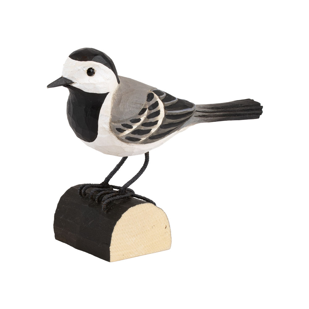 Bachstelze - White Wagtail