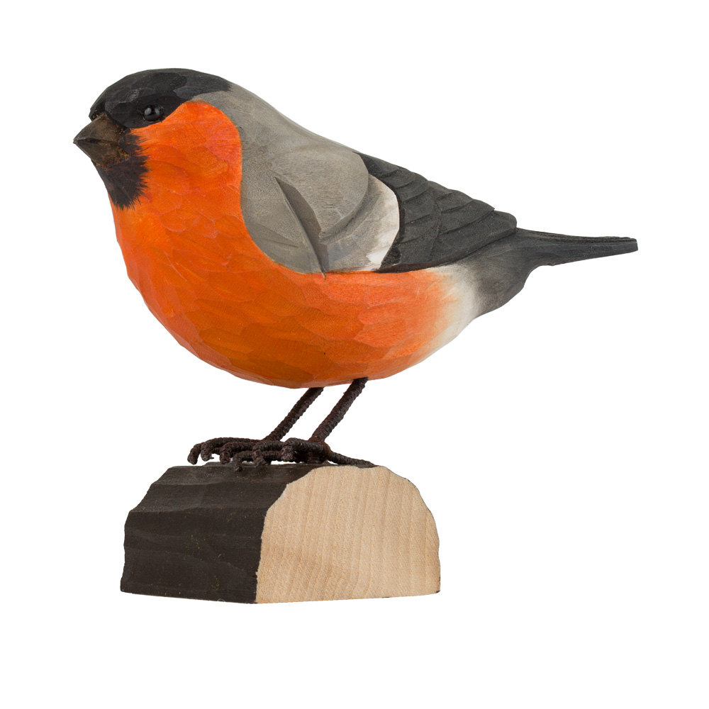 Dompfaff - Bullfinch