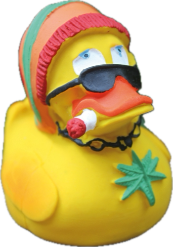 Dr. Reggae Quitscheente als Dr. Reggae