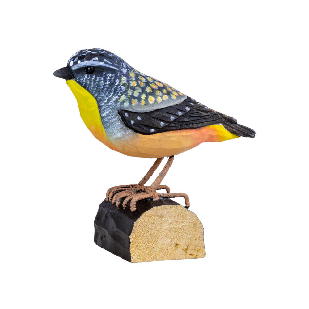 Fleckenpanthervogel - Spotted Paradalote