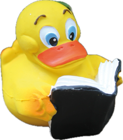 Quitscheente mit Buch