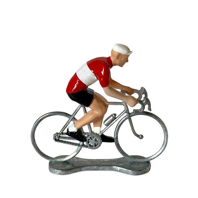 Fahrradfahrer Oesterreich